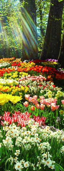 Bild: Jahresmotto 2013 "Zeitreise duch die G&auml;rten am Bodensee". Bild &copy; Insel Mainau