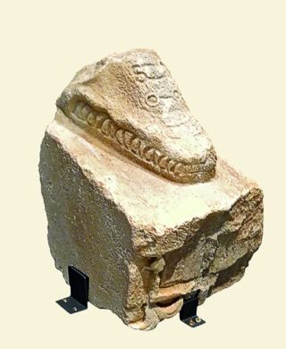 Teil einer Absperrung des COLOSSEVMS in Gestalt eines Krokodils; die Zuschauerströme wurden nach genauen Plänen gelenkt (Marmor, 3. Jh. n. Chr.; © Colosseo, Rom)