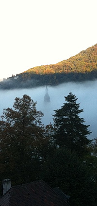 Heidelberg im Nebel