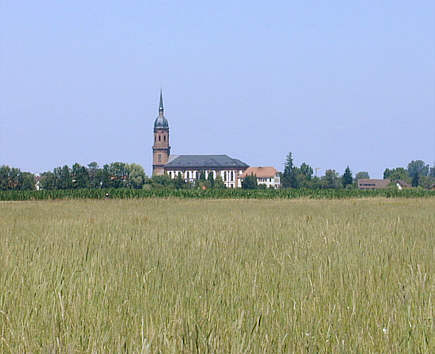 Schuttern, ehem. Klosterkirche, Ansicht von Süden