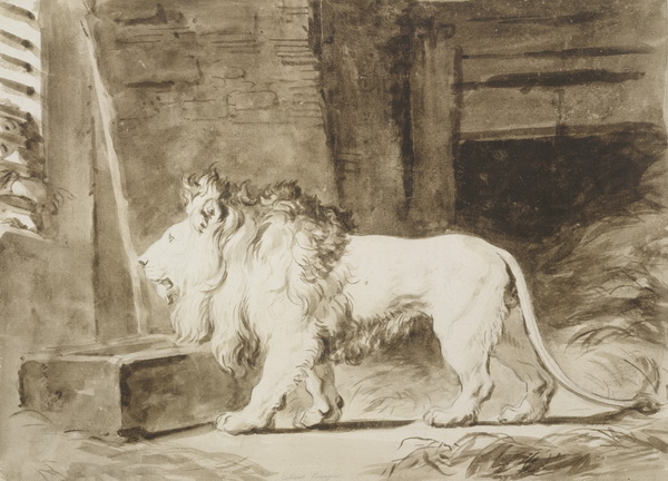 Jean-Honoré Fragonard, Ein Löwe im Stall, 1770er Jahre. Albertina, Wien. © Albertina, Wien