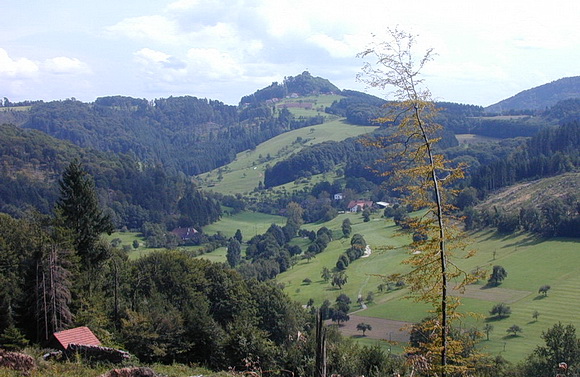 Geroldseck - Blick über das in Richtung der Burg ziehende Tal auf den charakteristischen Bergkegel.