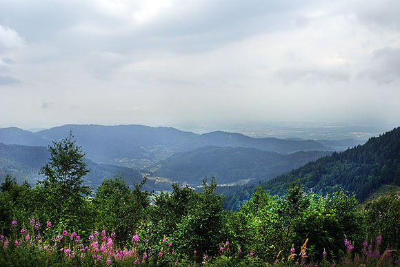 Blick von der Schwarzwaldhochstraße in die Rheinebene