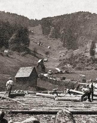 Zimmer- und Holzplatz bei Bermersbach. Im Hintergrund am Hang die für das Murgtal typischen Heustadel. Bad. Heimat 1937 S. 46