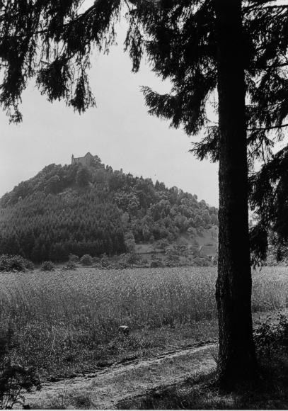 Dominanter Blickpunkt der Region: die Burg Hohengeroldseck. Bild: Archiv Badische Heimat 