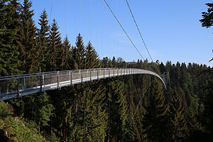 Bild: Hängebrücke Wild line. © Touristik Bad Wildbad