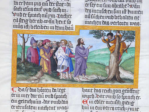 Jesus spricht zu Zachus im Maulbeerbaum. Ottheinrich-Bibel, Cgm 8010/3, Bl. 101r. Mathis Gerung, 1530-1532  Bayerische Staatsbibliothek 