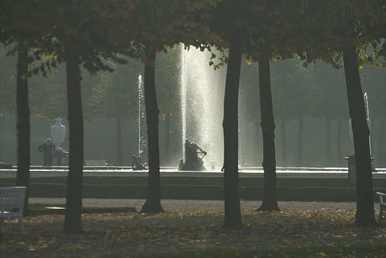 Arionbrunnen zwischen den Bäumen