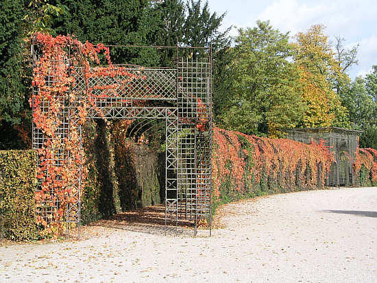 Laubengänge in der Färbung des Herbstlaubs