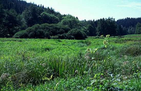 Naturschutzgebiet Tal der Blinden Rolt, Ostalbkreis