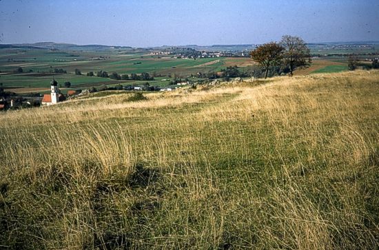 Naturschutzgebiet Riegelberg, Ostalbkreis