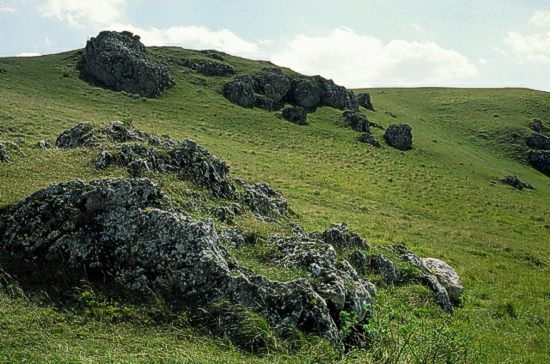 Naturschutzgebiet Riegelberg, Ostalbkreis