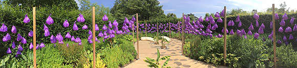 Paradiesgarten (Jardin au paradis) - Claire Bigot und Marie Bigot