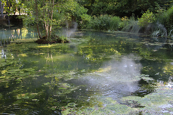 Nebelfahnen über dem Waldweiher