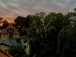 Unten: Blick vom Balkon der Ferienwohnung in den Abendhimmel (hinter den Bäumen).