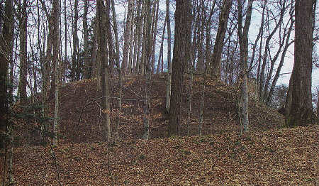 Die mittelalterliche Befestigungsanlage auf der Burghalde in Oberbalzheim, Alb-Donau-Kreis, steht zusammen mit einer weiteren Burganlage im Mittelpunkt der Ellwanger Sonderprsentation