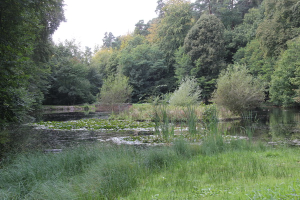 Homburg: Der Karlsbergweiher am Fuß des Karlsbergs lag am Beginn eines Tals, das sich hinauf bis zur Orangerie zog. Es wurde von Bernhard Petri ab 1788 zum englischen Landschaftspark umgestaltet.