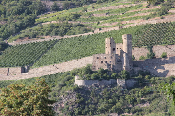 Burg Gutenfels über Kaub, umgebaut und verstärkt durch Kurfürst Ludwig V. nach 1508