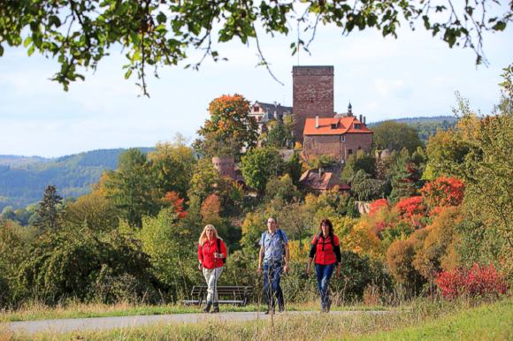 Wandergruppe vor der Burg Gamburg. Foto: Tourismusverband „Liebliches Taubertal“, Peter Frischmuth.