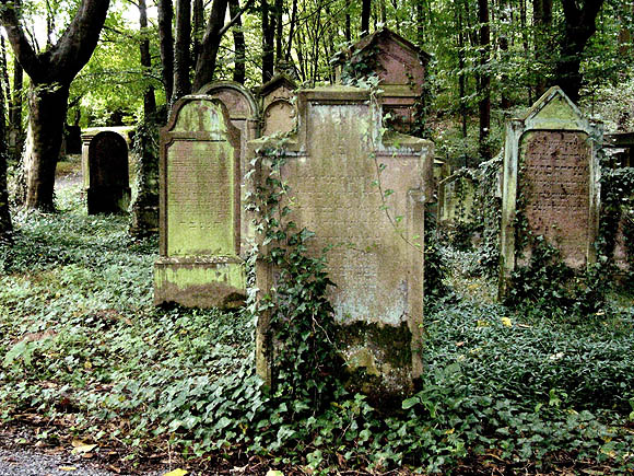 Jüdischer Friedhof Bruchsal-Obergrombach. Foto: Thomas Adam