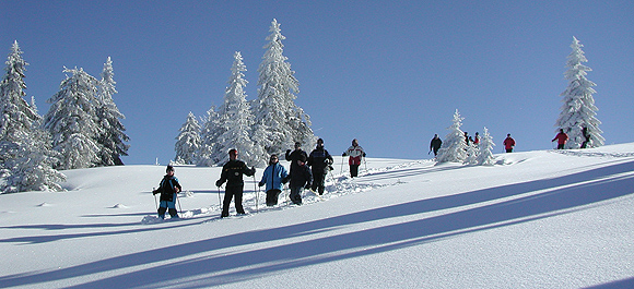 Schneeschuhwanderer am Feldberg. Foto: Naturschutzzentrum Feldberg