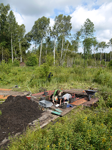 Grabungsareal im Olzreuter Ried. Foto: Landesamt für Denkmalpflege/W. Hohl