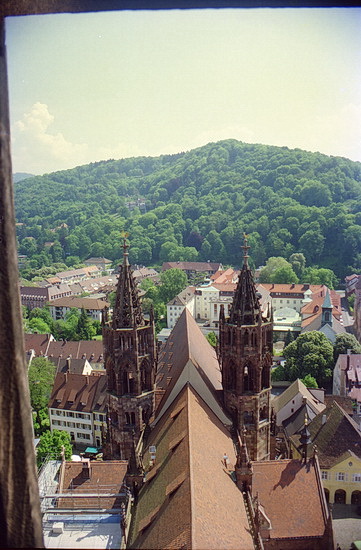 Freiburg, Münster, Blick auf Langhaus und Chor