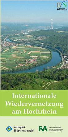 Flyer "Internationale Wiedervernetzung am Hochrhein"