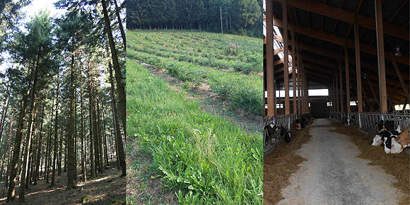 Wald, Feld und Stall sind drei der Arbeitsgebiete des Projekts. Fotos: Naturpark Südschwarzwald 