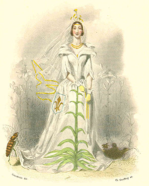 Grandville, Les fleurs anim&eacute;es - Die Lilie