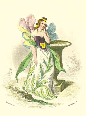 J.J. Grandville: Das Veilchen