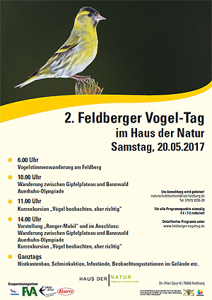Plakat zum Feldberger Vogeltag