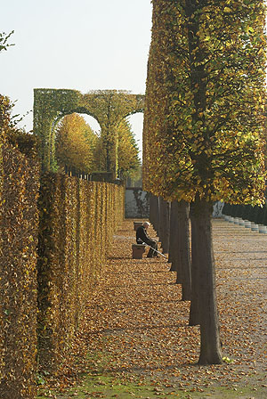 Herbststimmung im Schwetzinger Schlossgarten