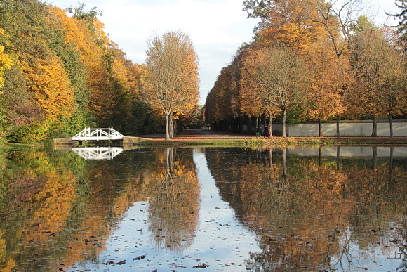 Schlossgarten Schwetzingen: Herbstfärbung in den Bäumen am Kanal