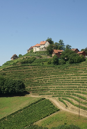 Schloss Staufenberg bei Durbach