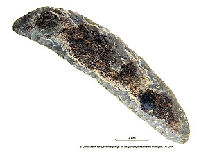 Sichel aus Plattenhornstein. Das Rohmaterial stammt vermutlich aus einem steinzeitlichen Bergwerk bei Regensburg. (Quelle: M. Erne, LAD)