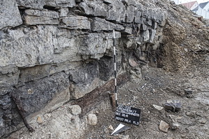 Detail der östlichen Mühlkanalwange mit unter der Mauer eingebautem Eichenbalken und Pfosten. Foto: Archäologie-Zentrum GmbH