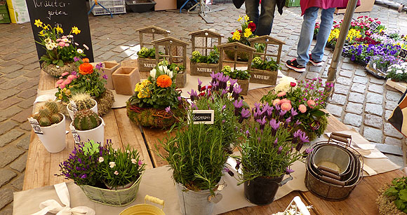 Frische Kräuter und Blumen auf dem deutsch-französischen Bauernmarkt in Landau. Foto: Nadine Schubert/ Büro für Tourismus Stadt Landau/Tourismus Südliche Weinstraße