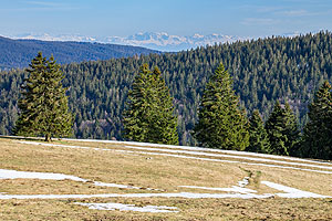Alpenpanorama im April
