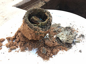 Die Zeitkapsel mit Münzen aus dem Grundstein des Neubaus der ehemaligen Stadtkirche Pforzheim im unrestaurierten Zustand.