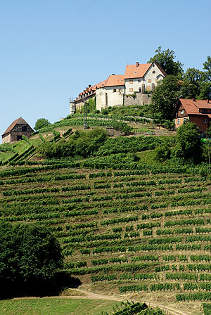 Burg Staufenberg über Durbach