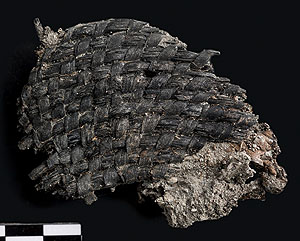 Korbfragment aus Spiralwulstechnik, Hornstaad-Hörnle 1A, ca. 3900 v. Chr.