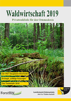 Titelblatt der Broschüe Waldwirtschaft 2019