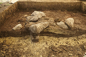Bis zu 60 Zentimeter große Steinbrocken mit teilweise verziegeltem Lehm bilden eine unbekannte Struktur der jungsteinzeitlichen Siedlung. Zuunterst zeichnen sich die hellen Seesedimente des ehemaligen Federsees ab.