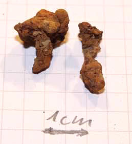 Mutmaßlich römische Schuhnägel (Quelle: Stefan Pikart)