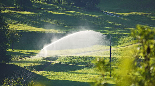 Ohne zusätzliche Bewässerung geht es bereits heute vielerorts nicht mehr. © Erich Westendarp auf Pixabay