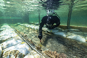 Bergung des Einbaum aus dem Bodensee am 31. März 2021