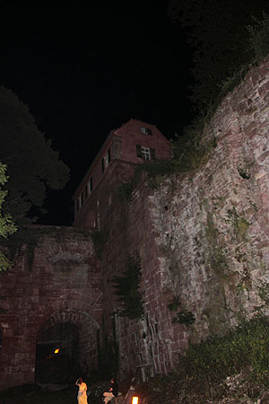 Fledermäuse schwärmen am liebsten in den ersten Nachtstunden aus: Hirschgraben am Schloss. Foto: kulturer.be