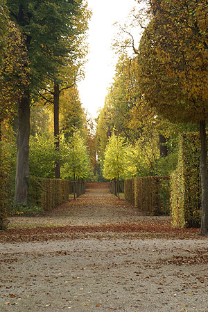 Schlossgarten Schwetzingen: Die geometrisch angelegten Boskette