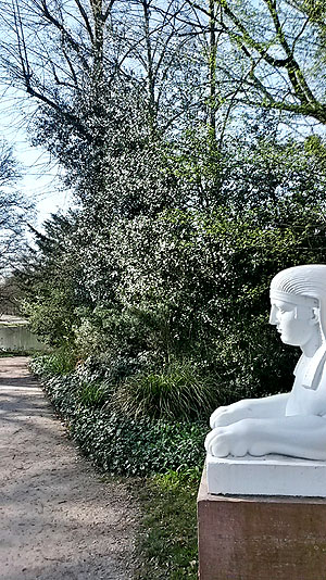 Stechpalmen im Schwetzinger Schlossgarten